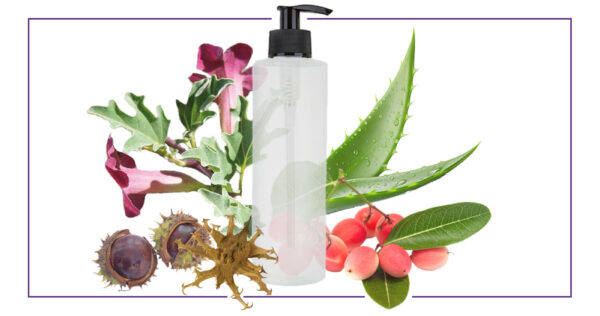 GEL frio Arnica y harpagofito principio activo marco scaled