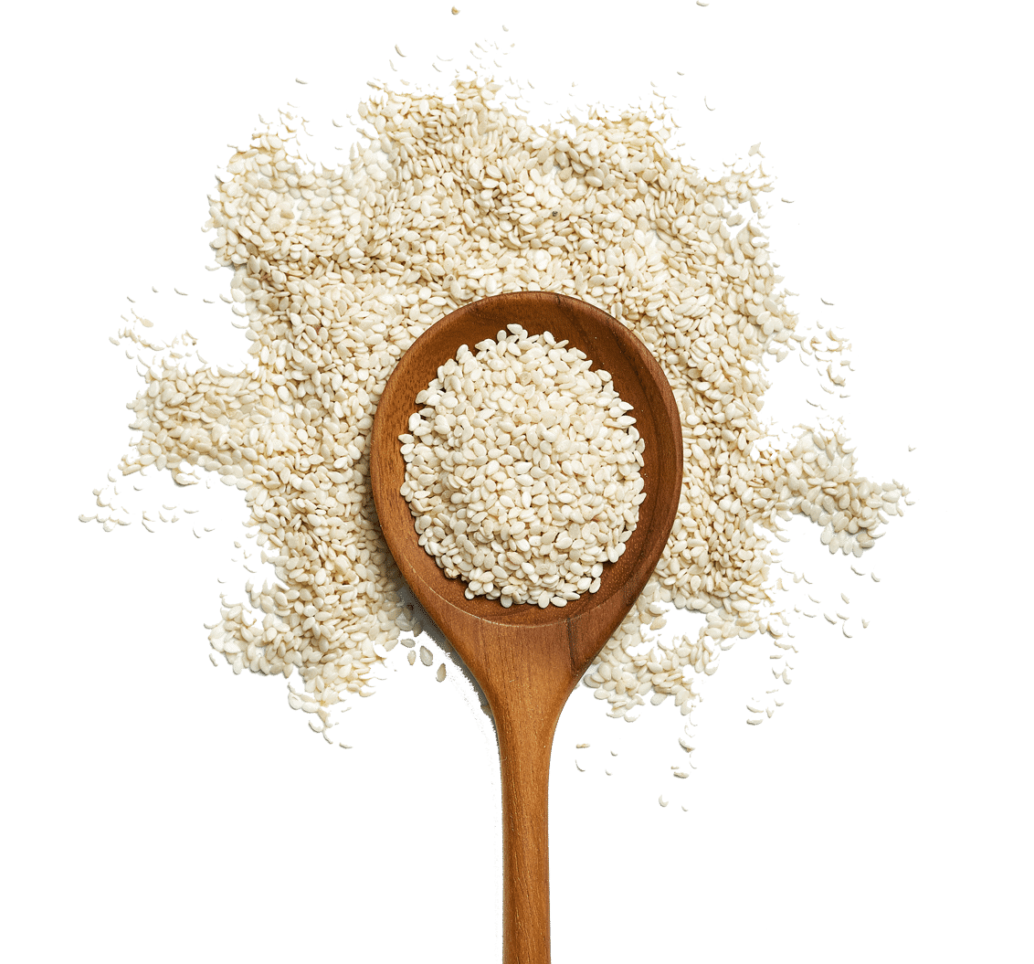 arroz arroz