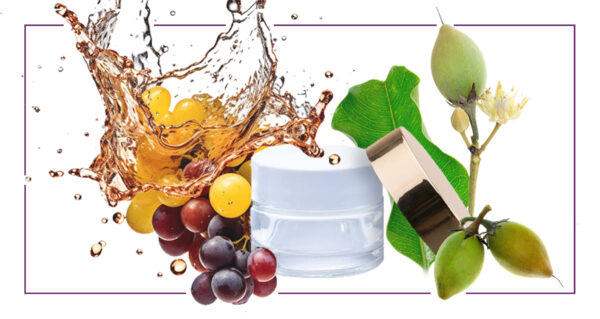 crema AH Y PROGELINE principio activo marco scaled