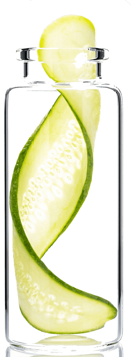 pepino pepino 1 scaled