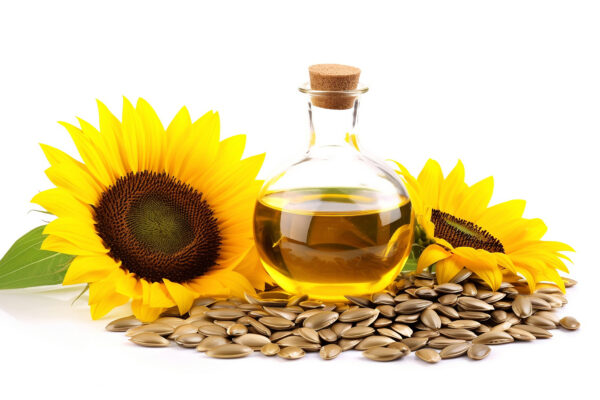 vecteezy aceite de girasol y semillas aisladas sobre fondo blanco 29557551 1 scaled