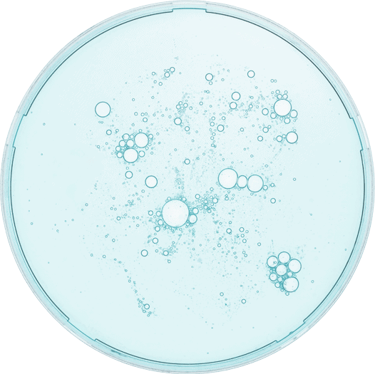 vecteezy_laboratory-petri-dish-and-facial-serum-on-a-blue-background_39847555 vecteezy laboratory petri dish and facial serum on a blue background 39847555 1