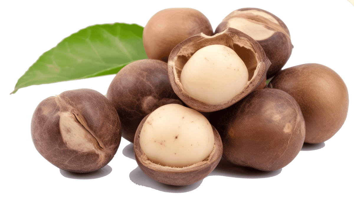 vecteezy_macadamia-nueces-crudo-generar-ai_26382732 vecteezy macadamia nueces crudo generar ai 26382732 2 scaled