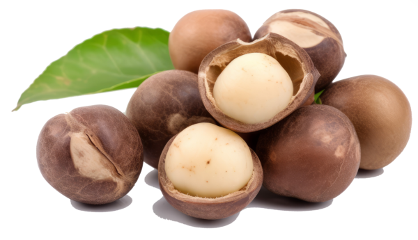 vecteezy macadamia nueces crudo generar ai 26382732